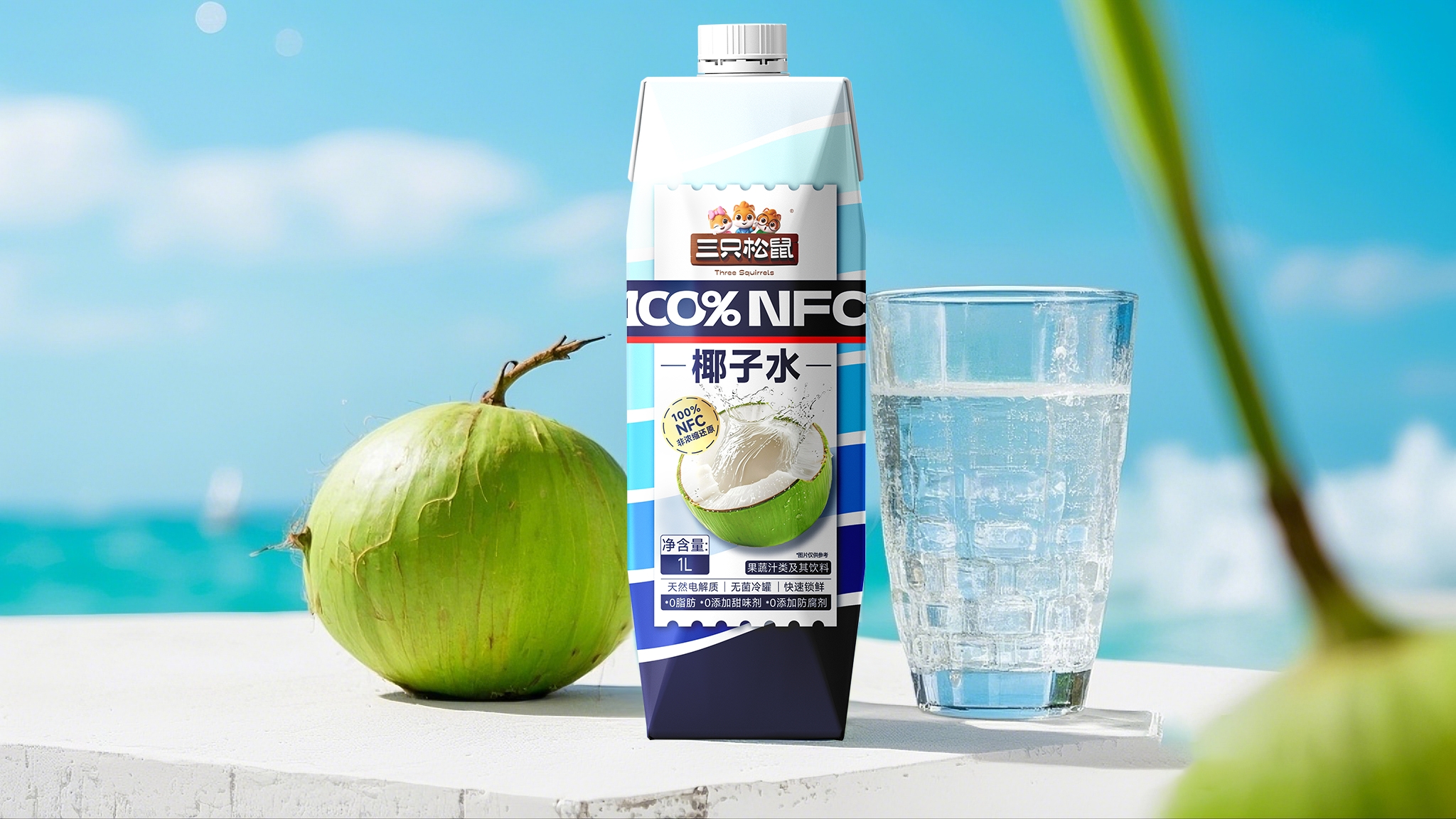 三只松鼠 NFC椰子水1L