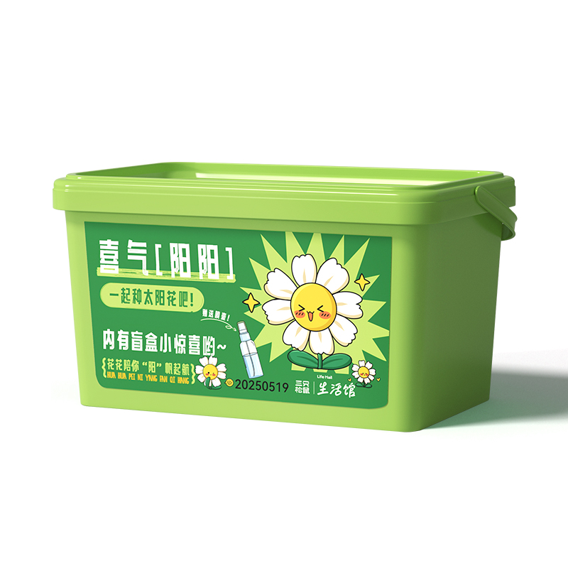 绿植盆栽盲盒套装太阳花款