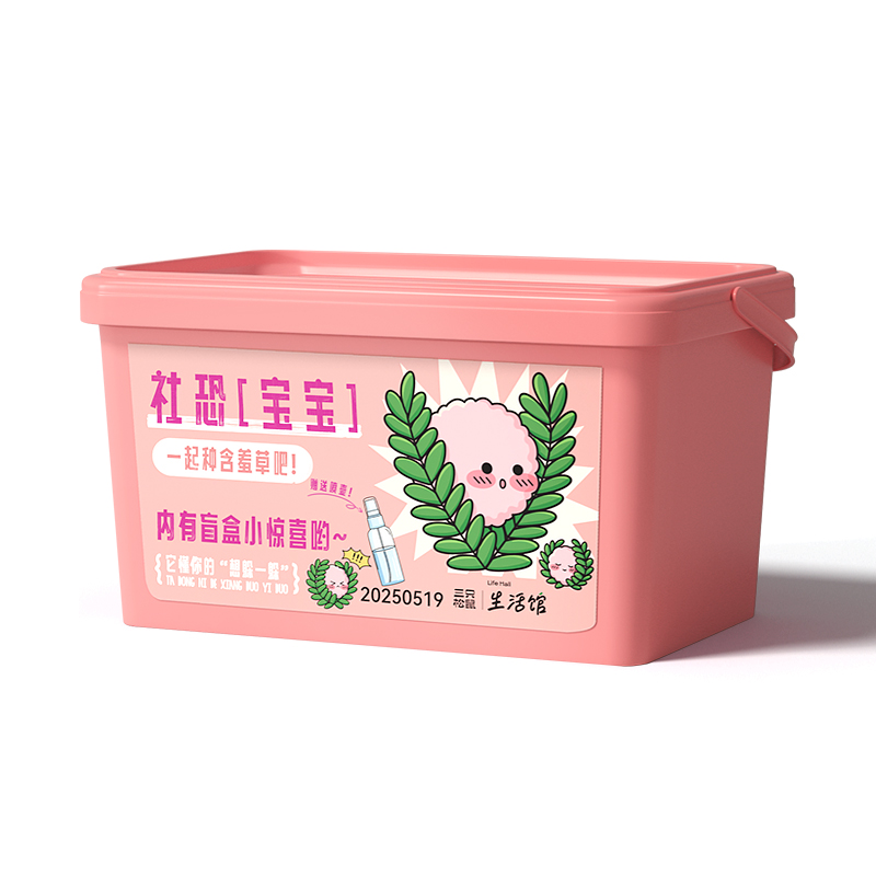 绿植盆栽盲盒套装含羞草款