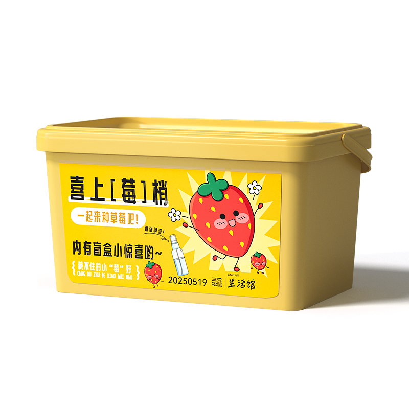 绿植盆栽盲盒套装草莓款